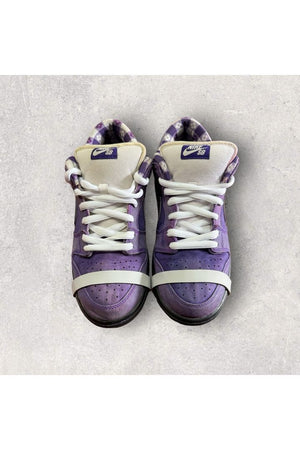 Nike SB Dunk Low CONCEPTS PURPLE LOBSTER